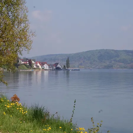 Апартаменты Merk Gbr *