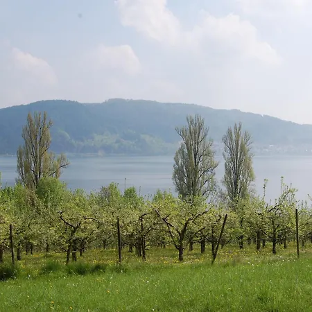 Merk Gbr Бодман-Людвигсхафен