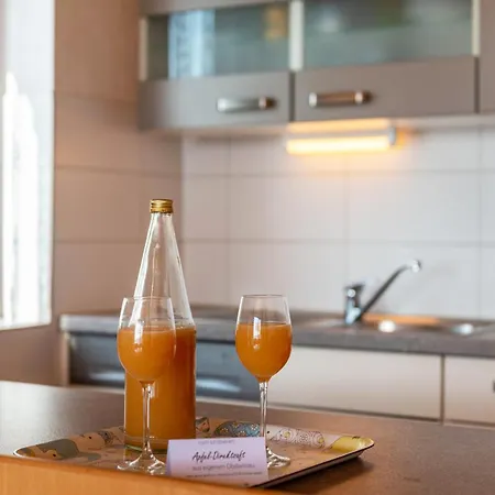 Merk Gbr Apartmán Bodman-Ludwigshafen