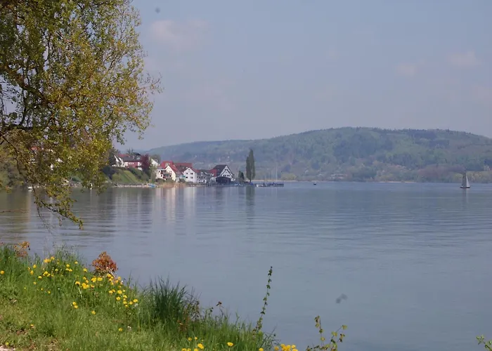 Апартаменты Merk Gbr *