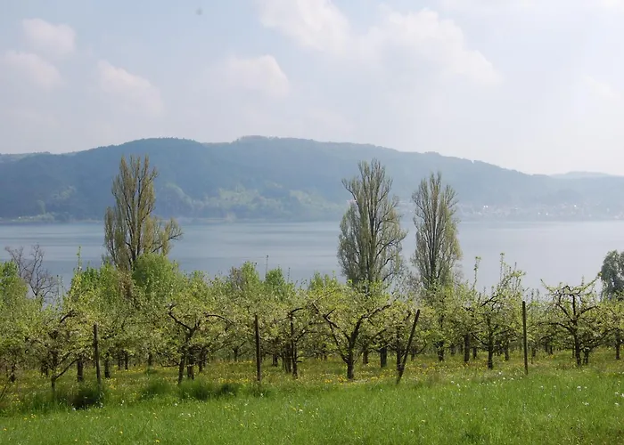 Merk Gbr Бодман-Людвигсхафен